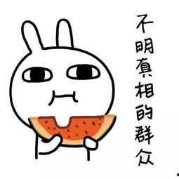 娱乐吃瓜酱卡皮,揭秘娱乐圈背后的那些事儿